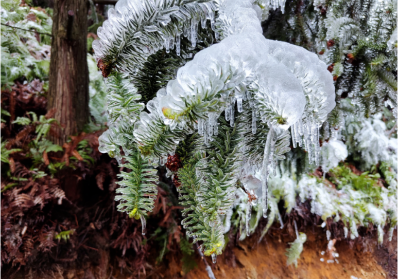 1645858936129323.png 微信截图_20220226145518.png