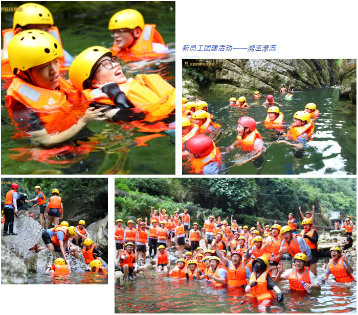 1658825230101972.png image.png