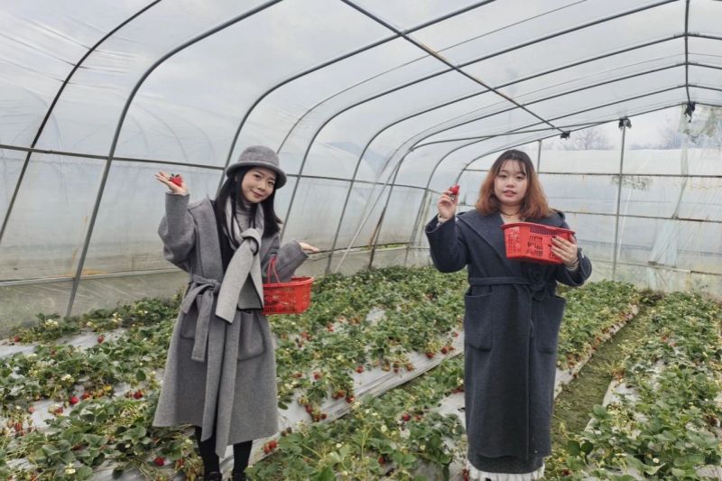 妇女节活动 (5).jpg